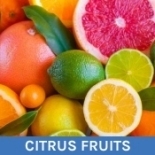 Citrus Flavours